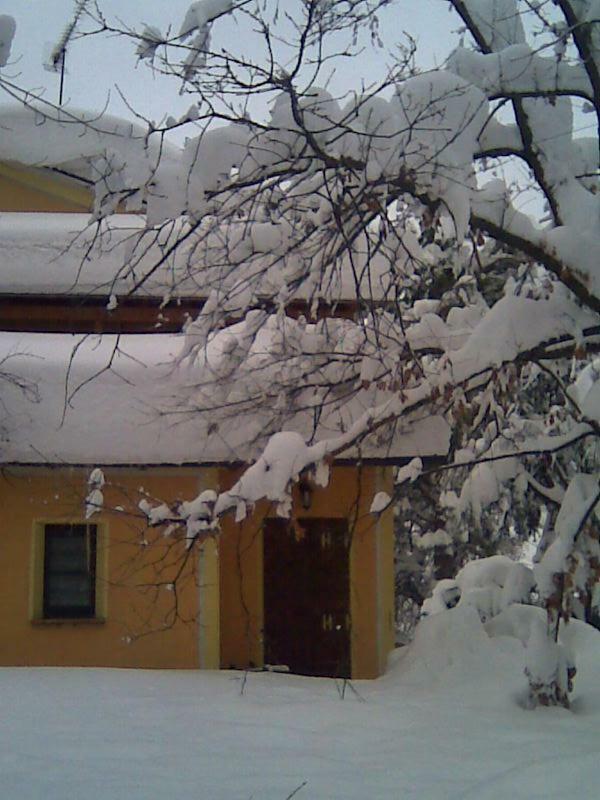 Le Spighe Agriturismo Cesena Buitenkant foto