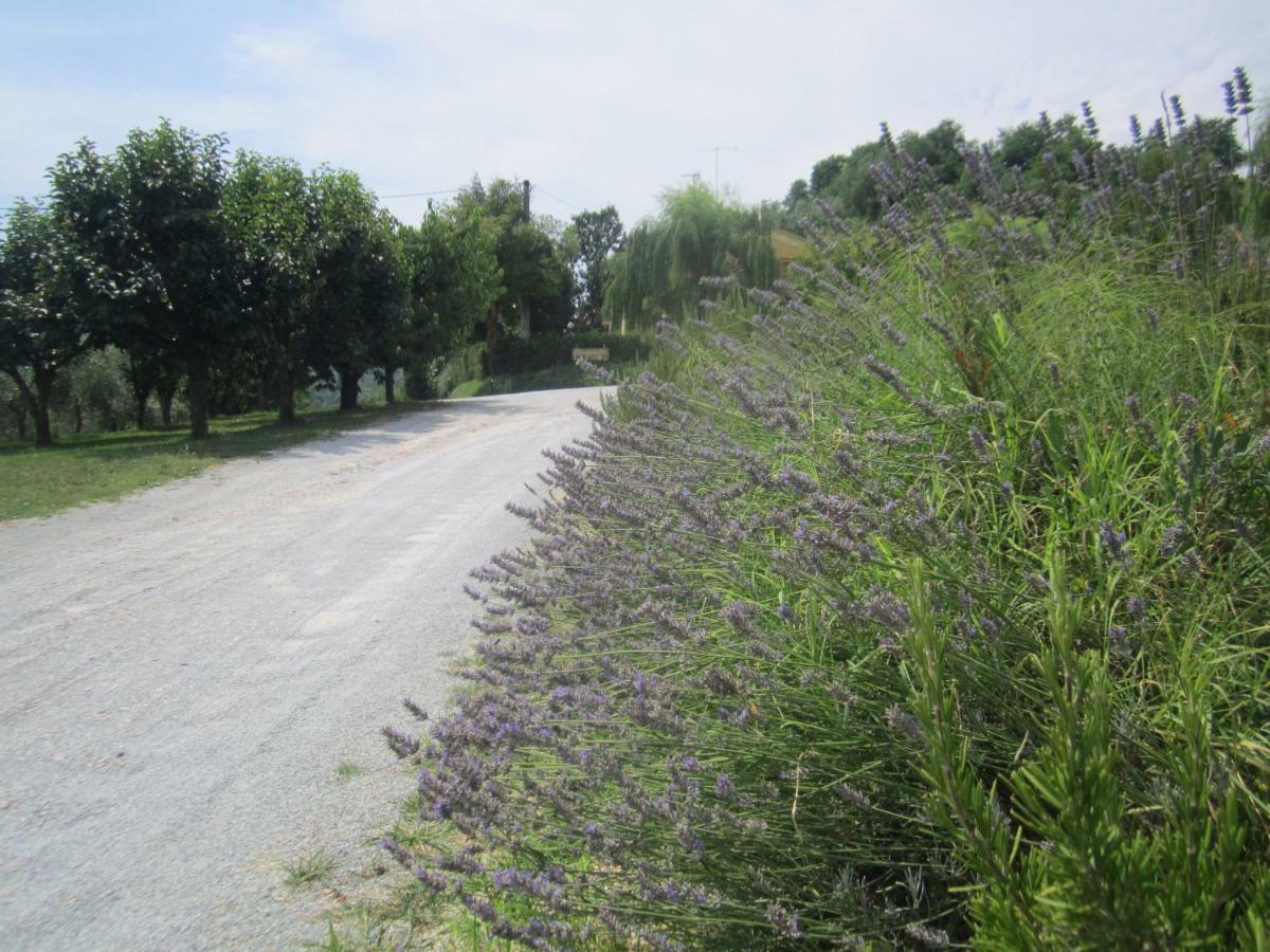 Le Spighe Agriturismo Cesena Buitenkant foto